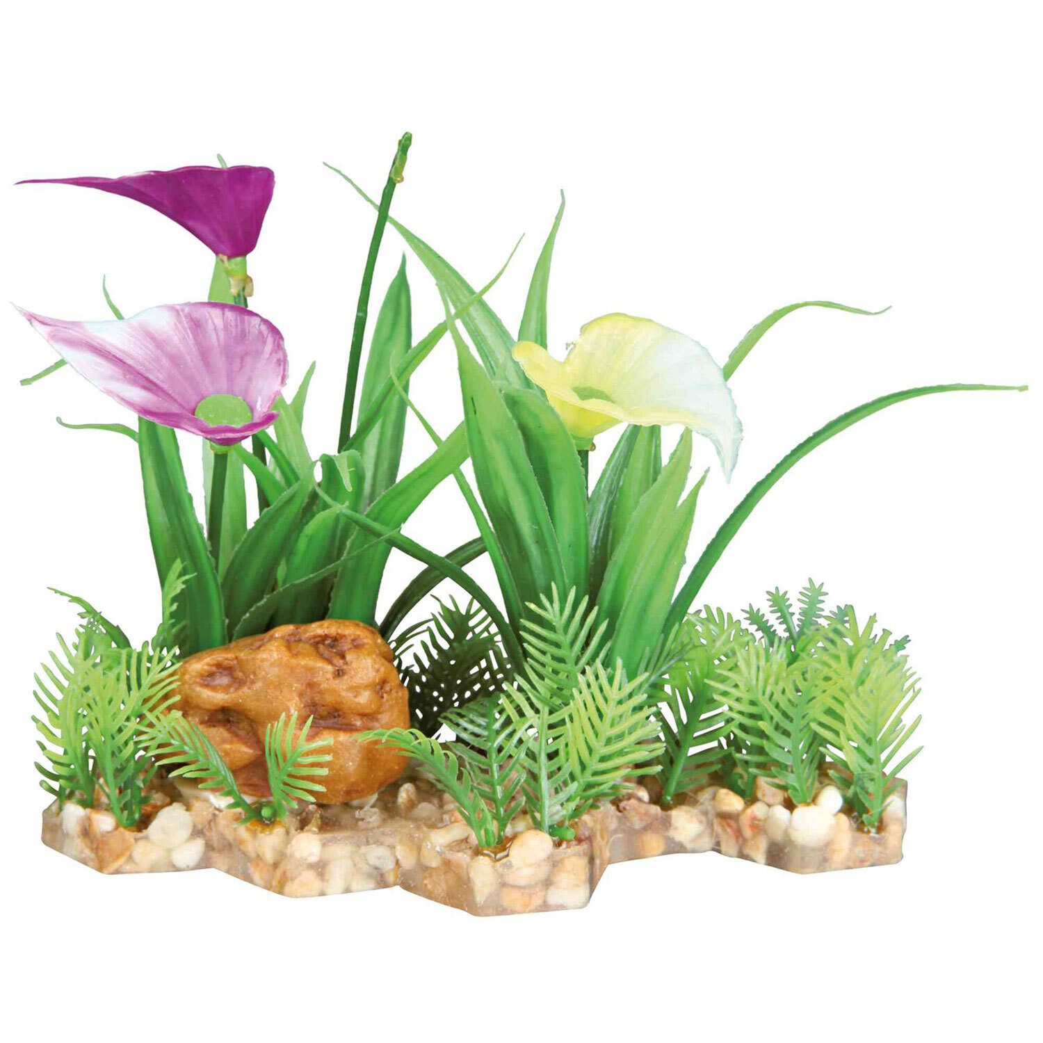 Plantas Pl�stico base grava, 13 cm Plantas Pl�stico base grava, 13 cm