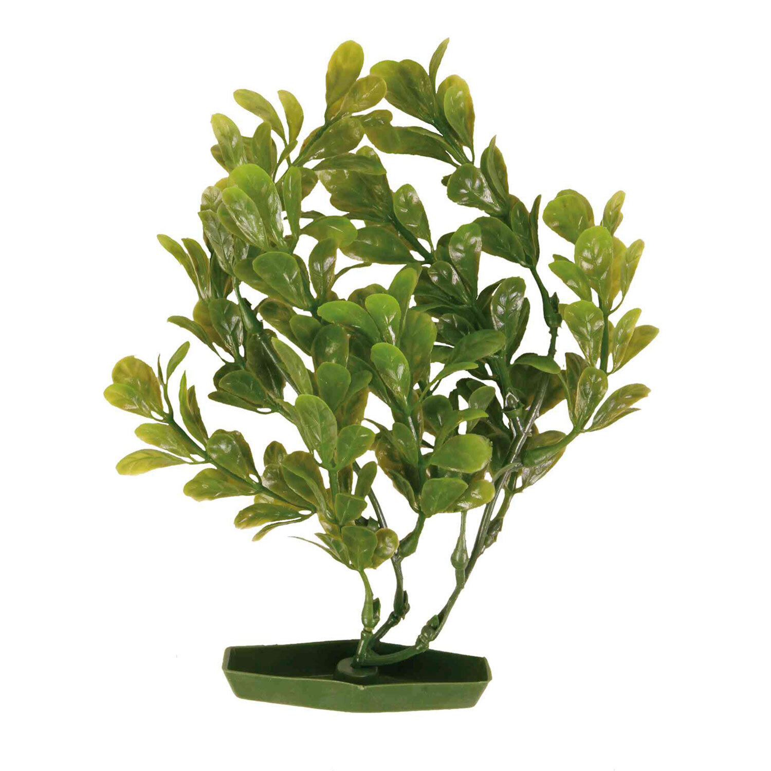 Set de Plantas pl�stico, 17 cm