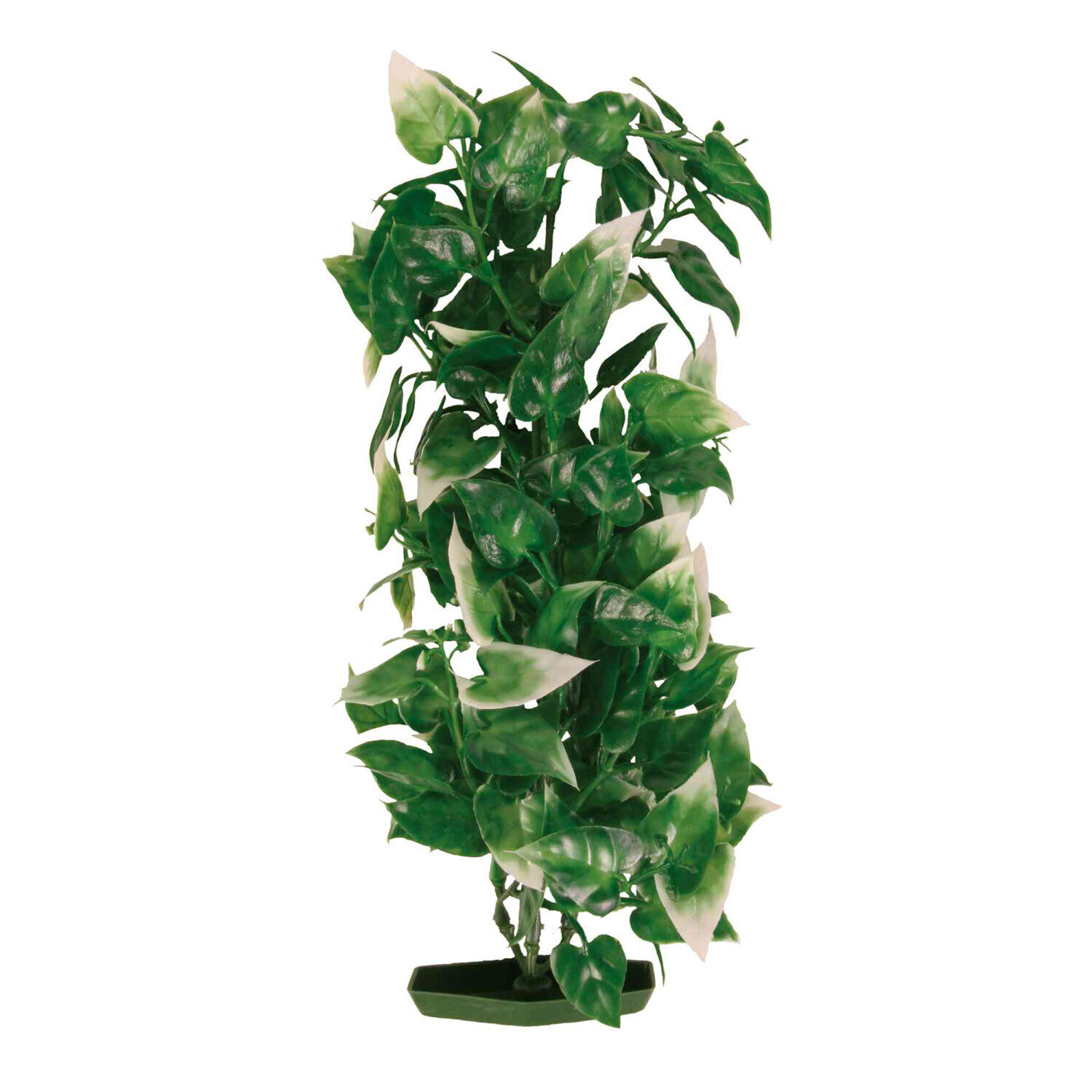 Set de Plantas pl�stico, 25 cm