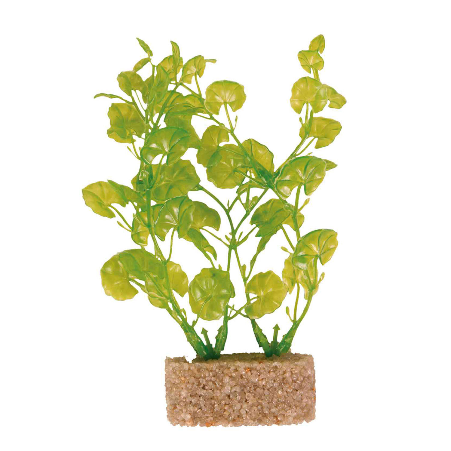 Set de Plantas pl�stico con base arena, 12 cm