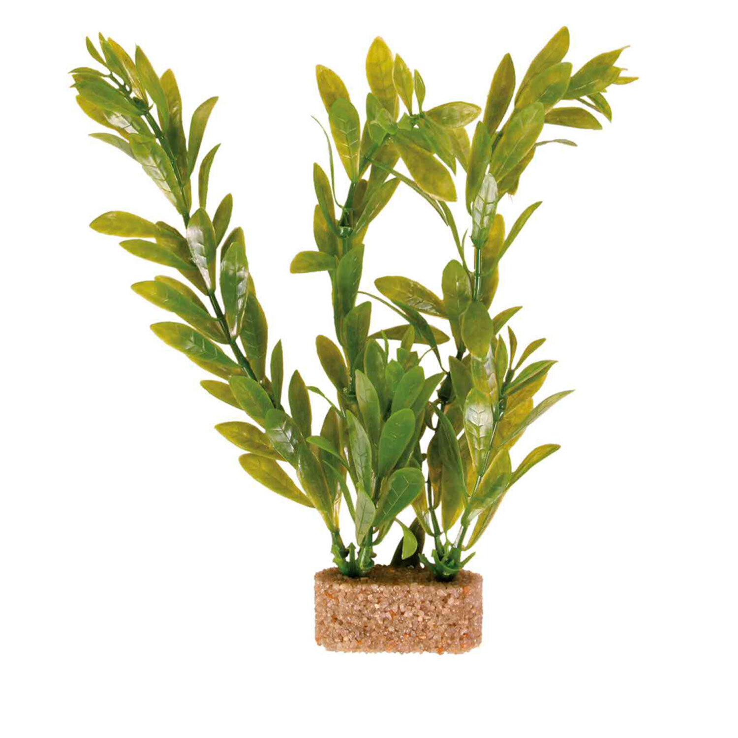 Set de Plantas pl�stico con base arena, 20 cm