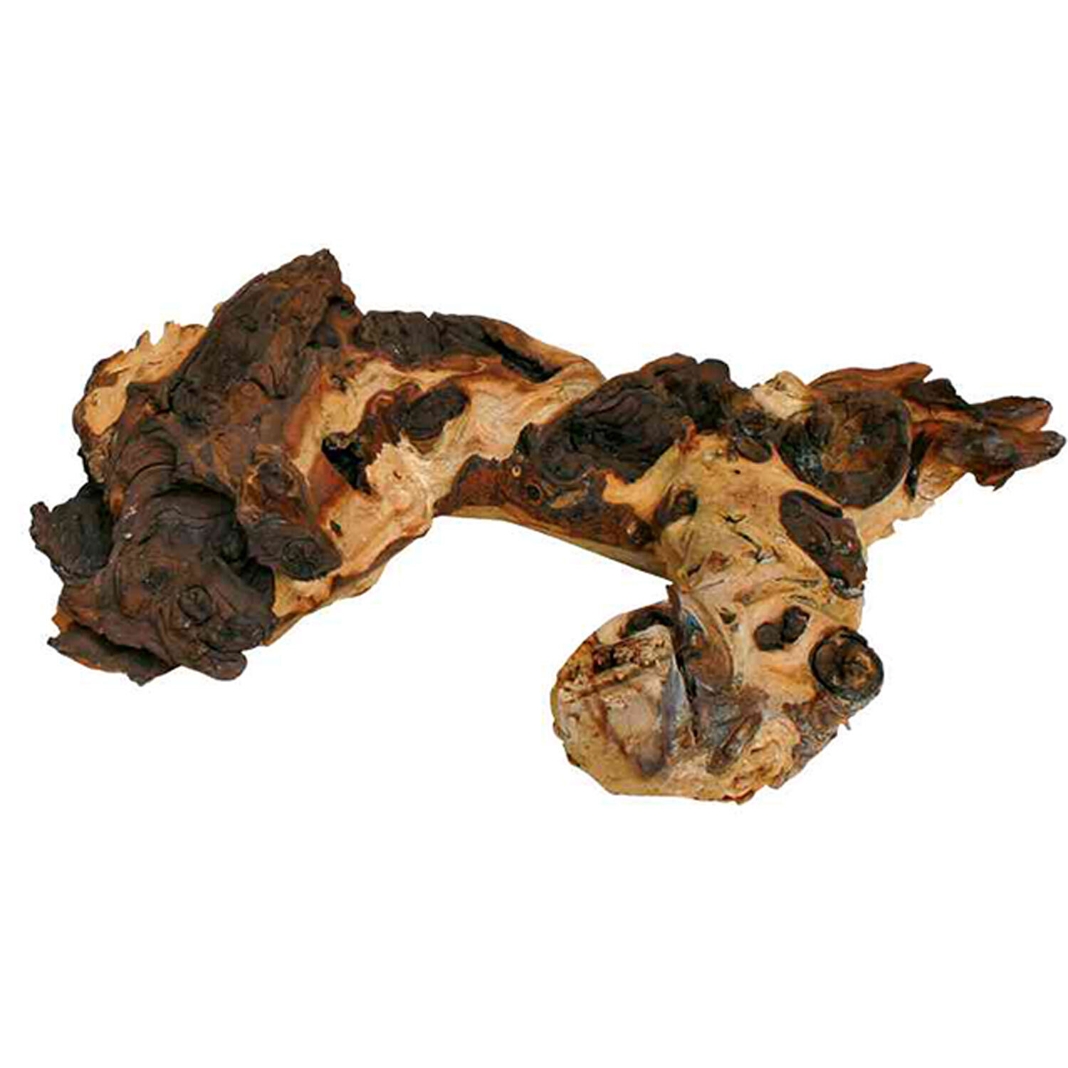 Set de Troncos Mopani, L, 1 kg