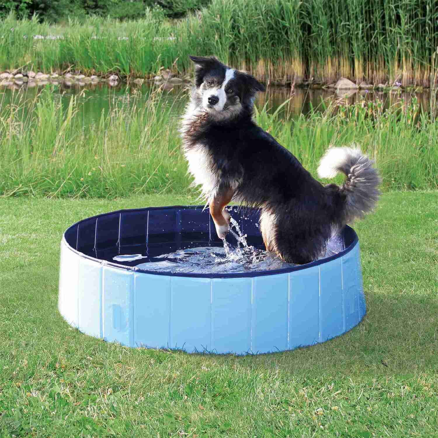 Piscina para perros,  70 x 12 cm, Azul Claro/Azul
