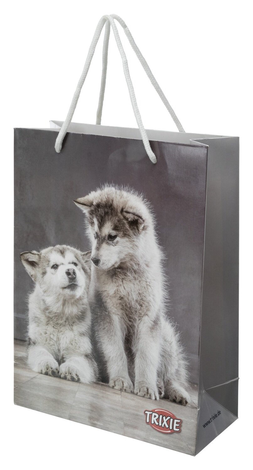 Bolsa de papel JUNIOR, 23 � 31 � 10 cm, foto de motivo