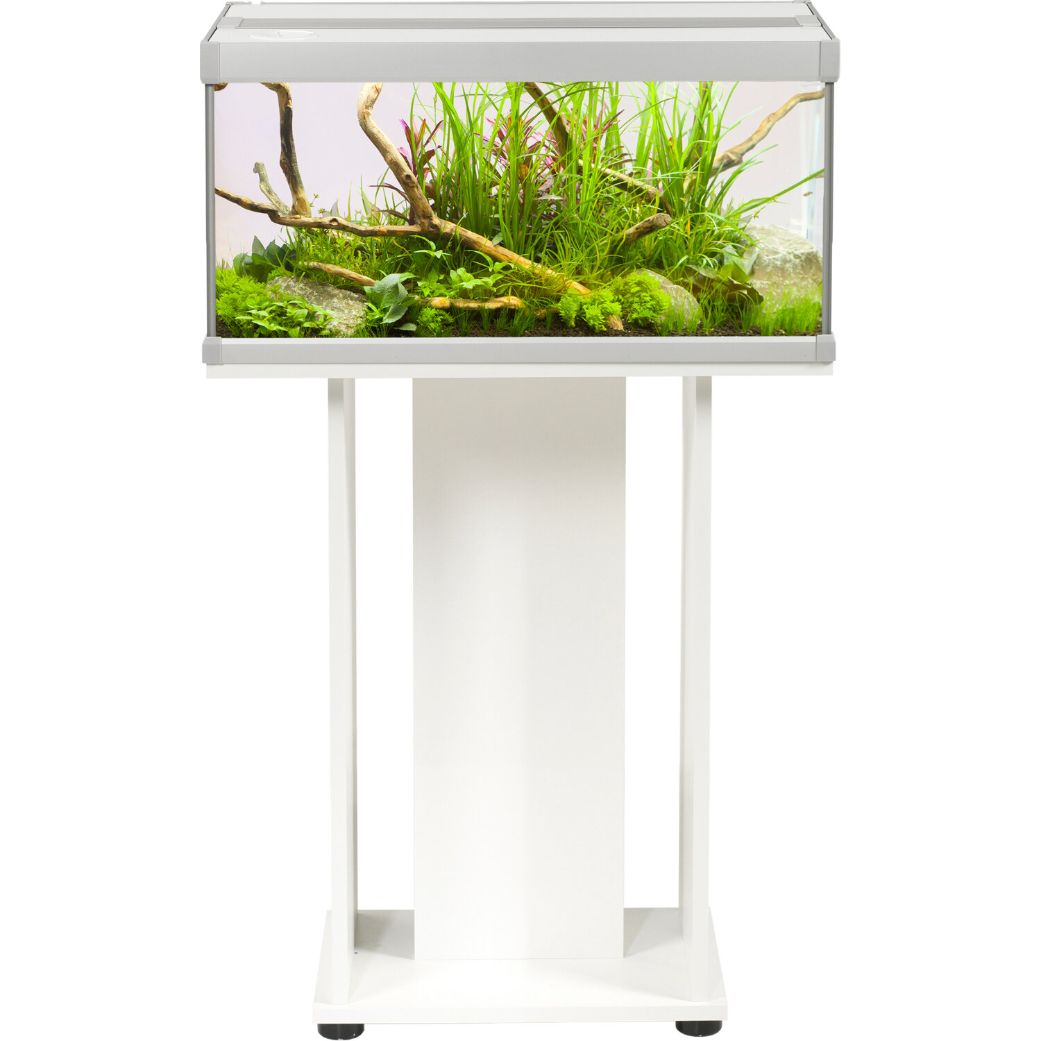 Acuario FAMILY 54 l, 60 x 30 x 30 cm / 4 mm, Vidrio