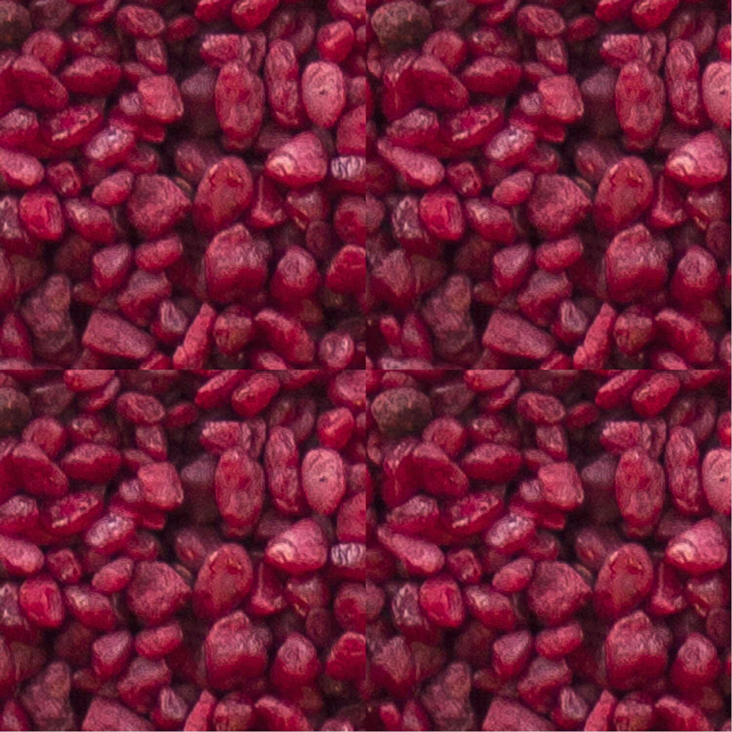 Grava Acuarios, LIBRA Rojo, Calibre 3-5 mm, bolsa 1 kg Grava Acuarios, LIBRA Rojo, Calibre 3-5 mm, bolsa 1 kg