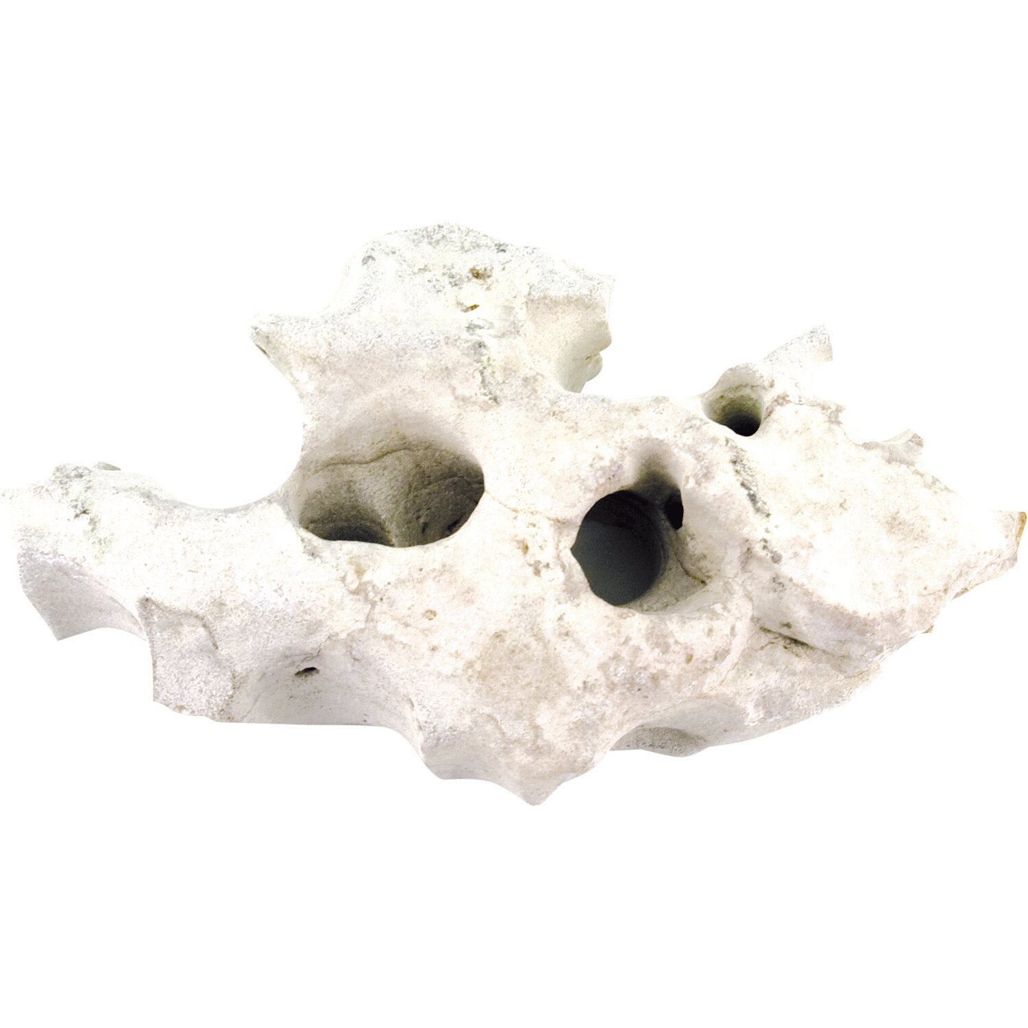 Piedras HULSTEN HVIDE, 10-60 cm