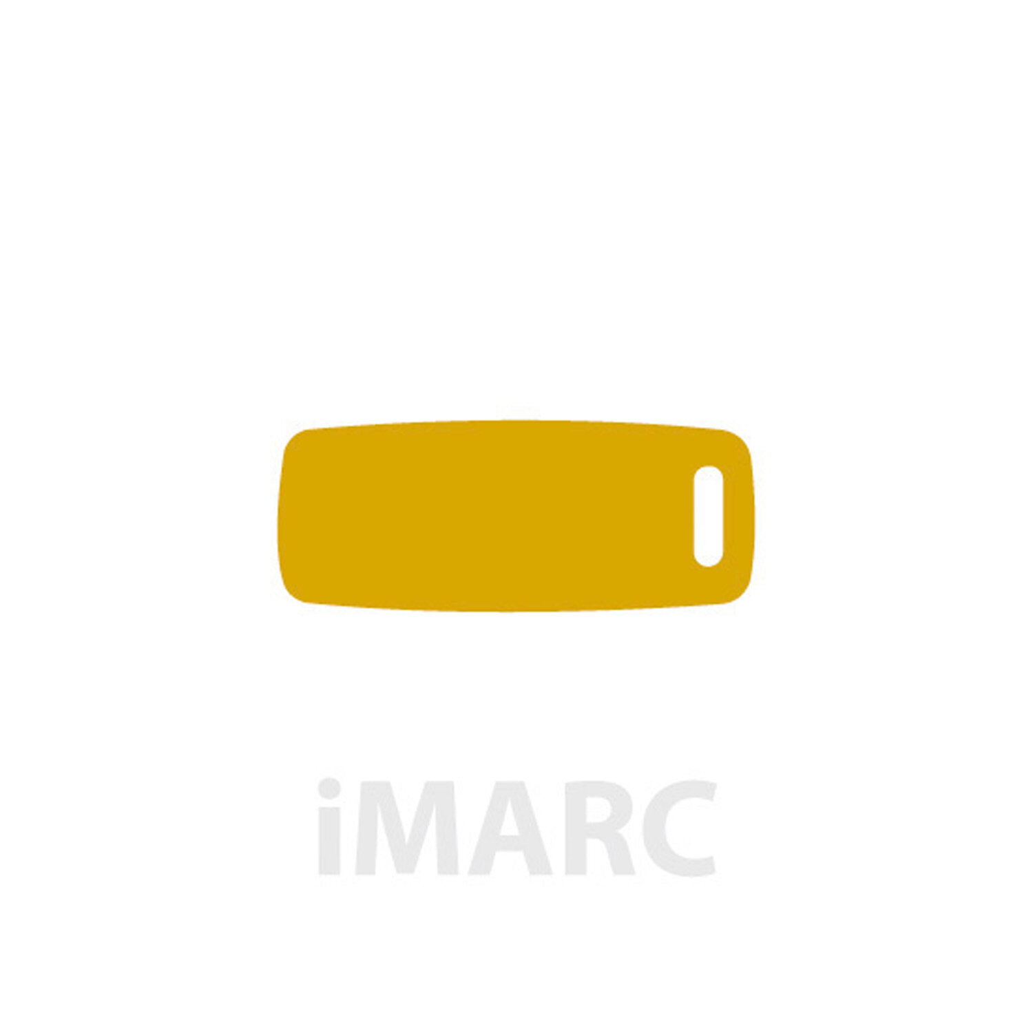 Placa Equipaje IMARC, Dorado, 7 x 3.5 cm. Si quiere a�adir grabaci�n a�ada el art�culo H166200, indique el nombre a grabar en el campo de observaciones de su pedido. Se pueden a�adir hasta 2 grabaciones por placa.