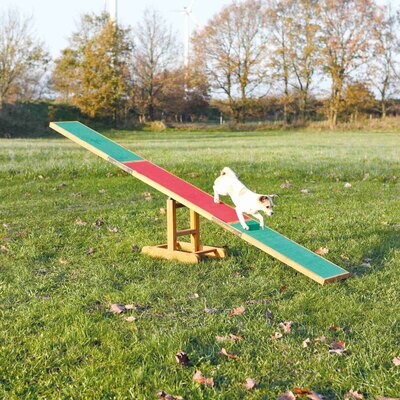 Balanc�n Agility, M�ximo 80 kg, 300 � 54 � 34 cm