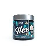 ARTIFLEX 300 GR