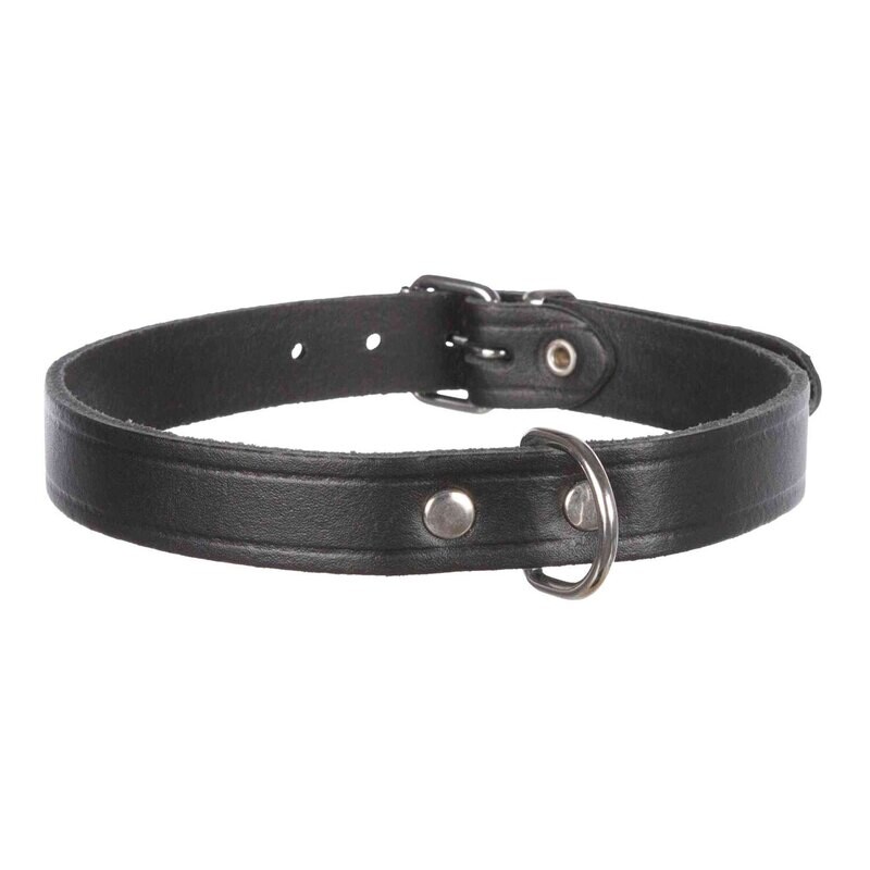 Collar Basic, Piel, XS-S, 24-29 cm/12 mm, Negro