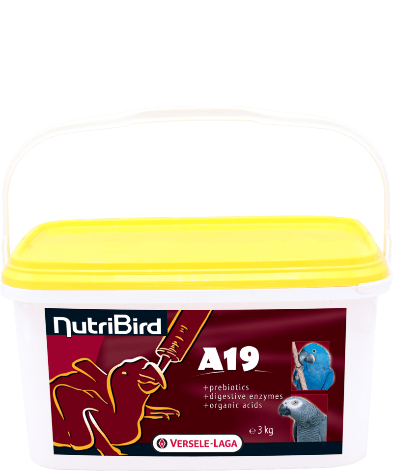 NUTRIBIRD A19 LORI 3KG
