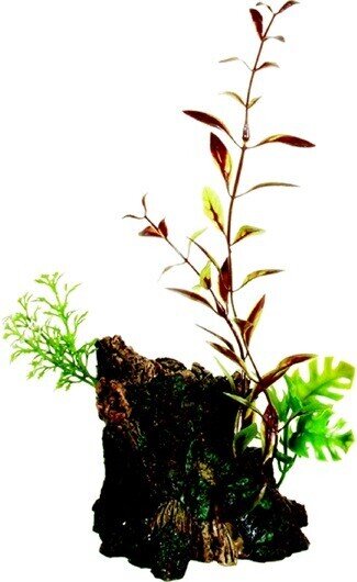 MARINA DECO WOOD TRONCO CON PLANTAS MED.