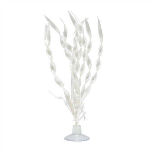 MARINA VALISNERIA CON VENTOSA 12,5cm MARINA VALISNERIA CON VENTOSA 12,5cm