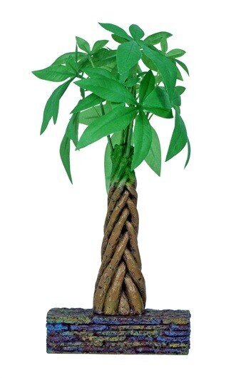 MARINA ARBOL TRENZADO PARA BETTA KIT 3 L