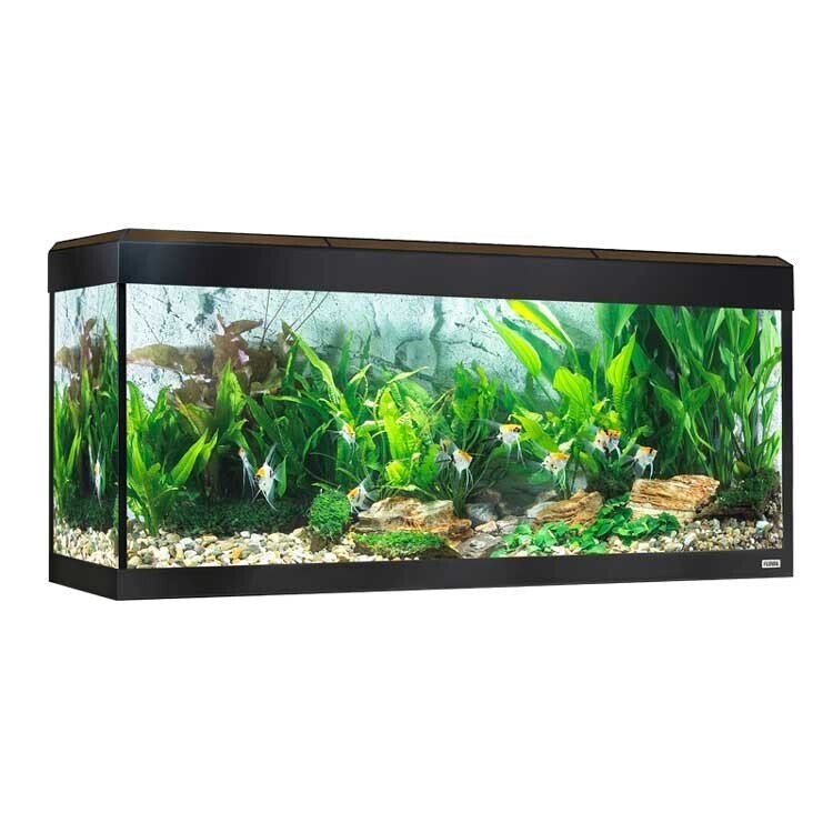 Fluval Roma Acuario LED Bluetooth 240L, Nogal Fluval Roma Acuario LED Bluetooth 240L, Nogal