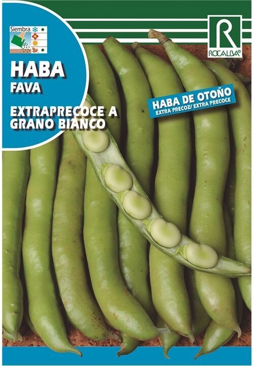 HORTALIZAS  HABA Extraprecoce a grano bianco 1 KG A GRANEL