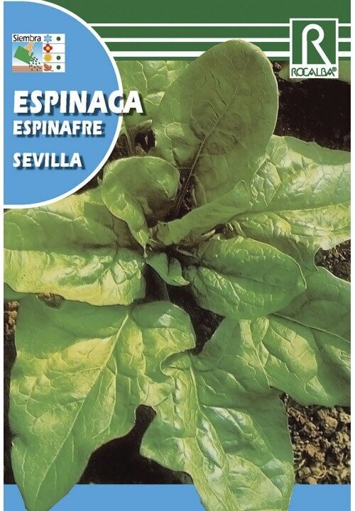 HORTALIZAS ESPINACA SEVILLA