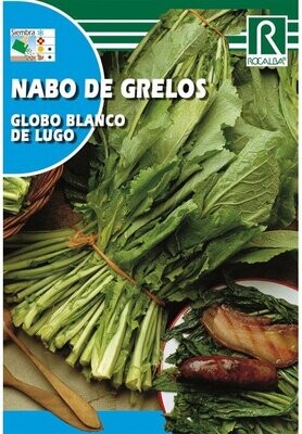 HORTALIZAS Globo Blanco de Lugo