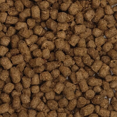 Fluval Bug Bites C�clidos Pellets, 100g