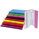 Carpeta claficadora cart�n forrado surt.