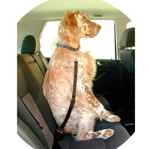 Cintur�n de seguridad Ib��ez DogwayCINTUR�N 2x45-70 cm