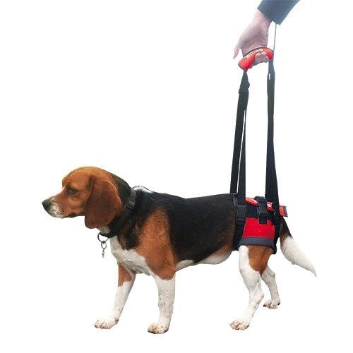 Transportador manual  HANDY CANIS TRASERO TALLA XS