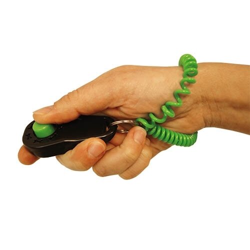 Clicker Ib��ezCLICKER IB���EZ