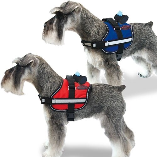 Arn�s ActiveARN�S AZUL XS