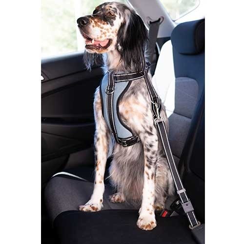 Arn�s coche con cintur�n seguridad Ib��ez DogwayTALLA L