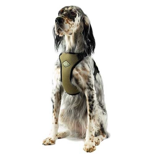 Arn�s acolchadoARN�S ACOLCHADO XS Arn�s acolchadoARN�S ACOLCHADO XS