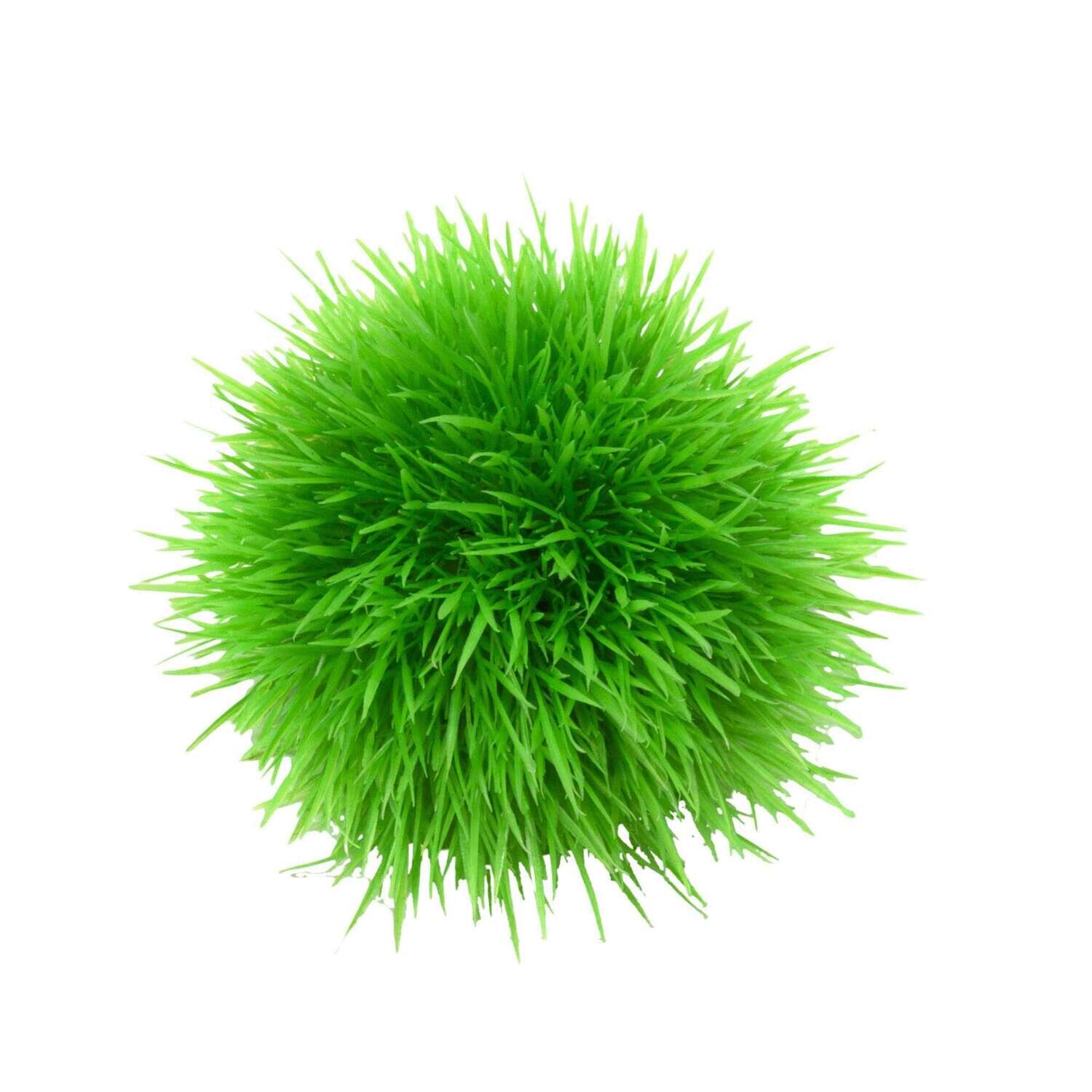 Planta salvacr�as en forma de bola0x17x0cm