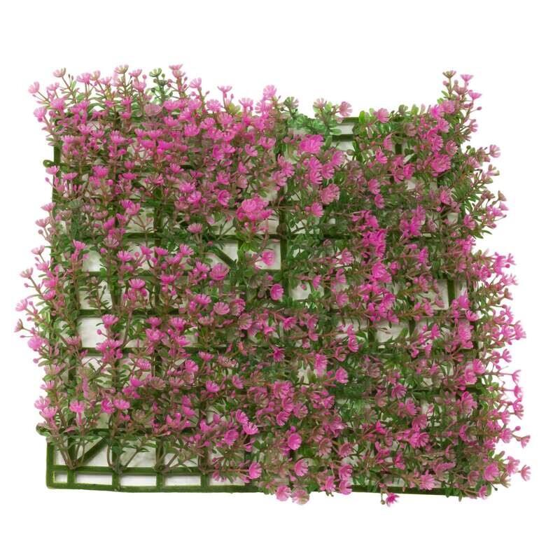 Planta salvacr�as rosada 0x25x25cm