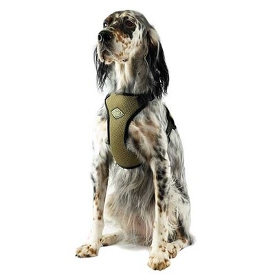 Arn�s acolchadoARN�S ACOLCHADO XS