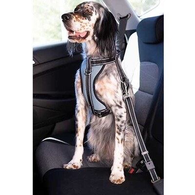 Arn�s coche con cintur�n seguridad Ib��ez DogwayTALLA XL