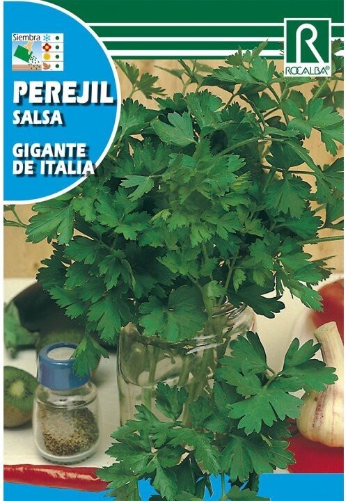HORTALIZAS 
PEREJIL GIGANTE DE ITALIA