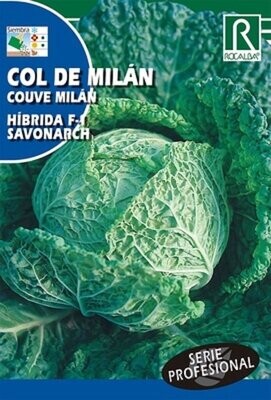 HORTALIZAS PROFESIONAL COL DE MILAN HIBRIDA F1 SAVONARCH