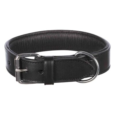 Collar Active, M, 38-45 cm/40 mm, Negro