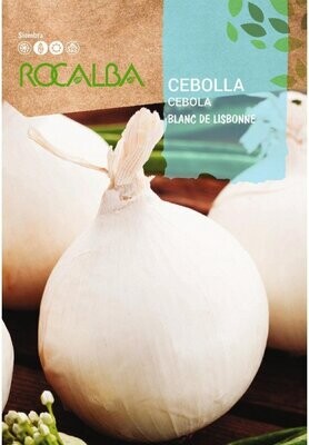 CEBOLLA(Allium cepa)
Blanc de lisbonne 4 GRS