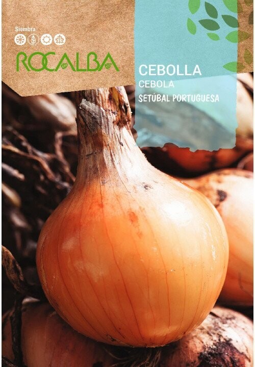 CEBOLLA(Allium cepa)
Setúbal Portuguesa 4 GRS