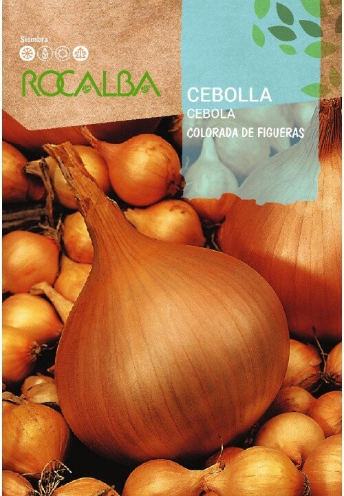 CEBOLLA(Allium cepa)
Colorada de Figueras 4 GRS