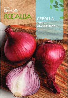 CEBOLLA(Allium cepa)
Morada de amposta 4 GRS