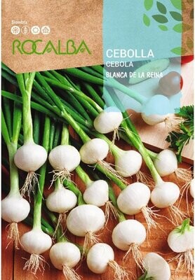 CEBOLLA(Allium cepa)
Blanca de la reina 4 GRS