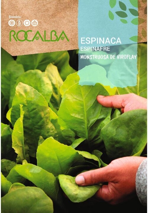 HORTALIZAS ESPINACA VIKING MOSTRUOSA