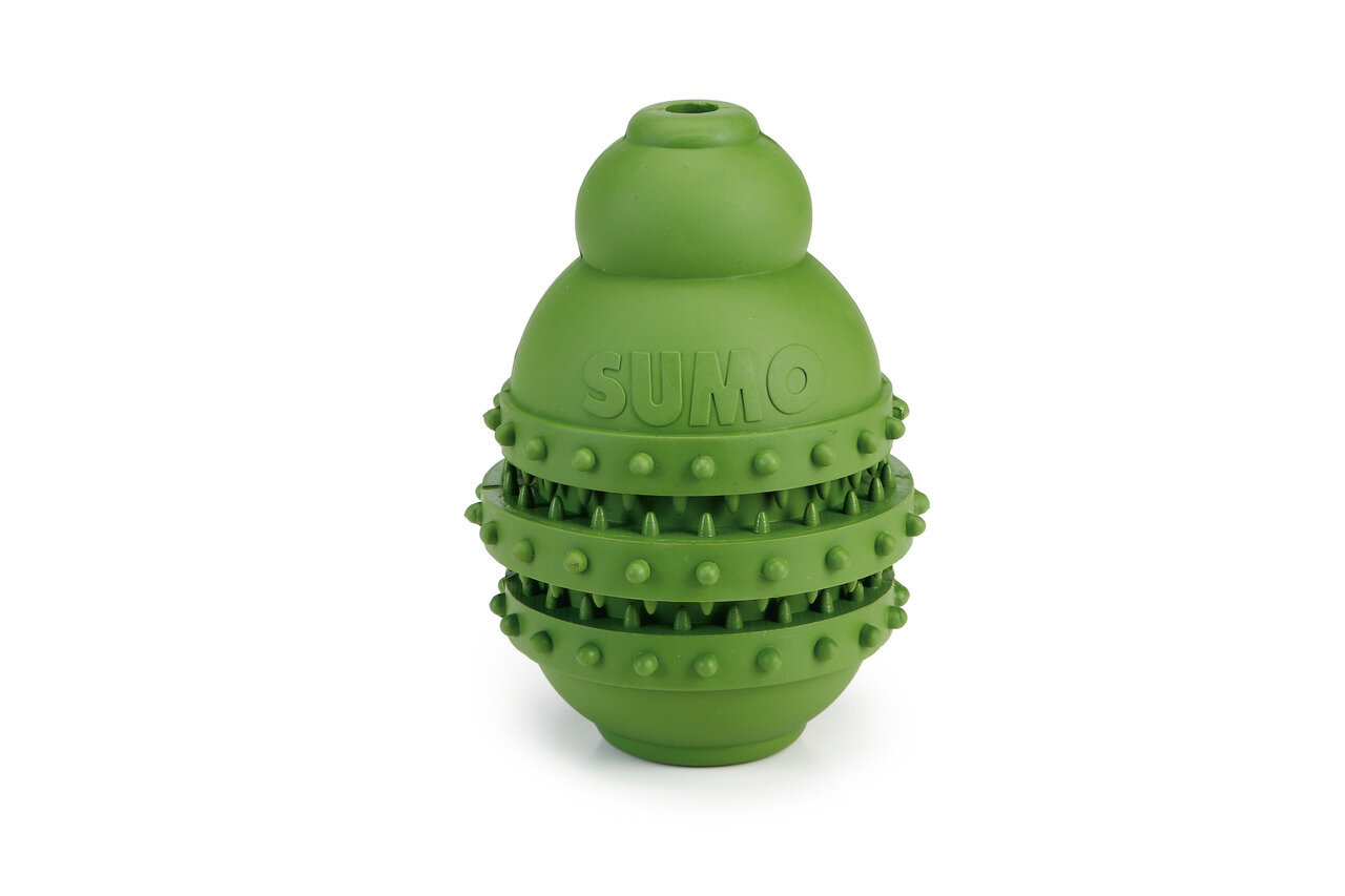 K&BZ BZ SUMO PLAY DENTAL M VERDE 9 X 9 X 12