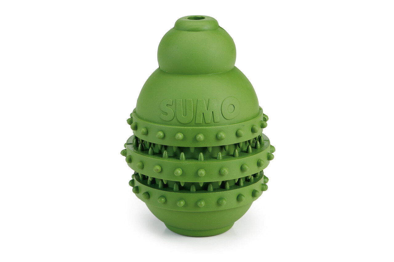 K&BZ BZ SUMO PLAY DENTAL L VERDE 10 X 10 X 15CM K&BZ BZ SUMO PLAY DENTAL L VERDE 10 X 10 X 15CM