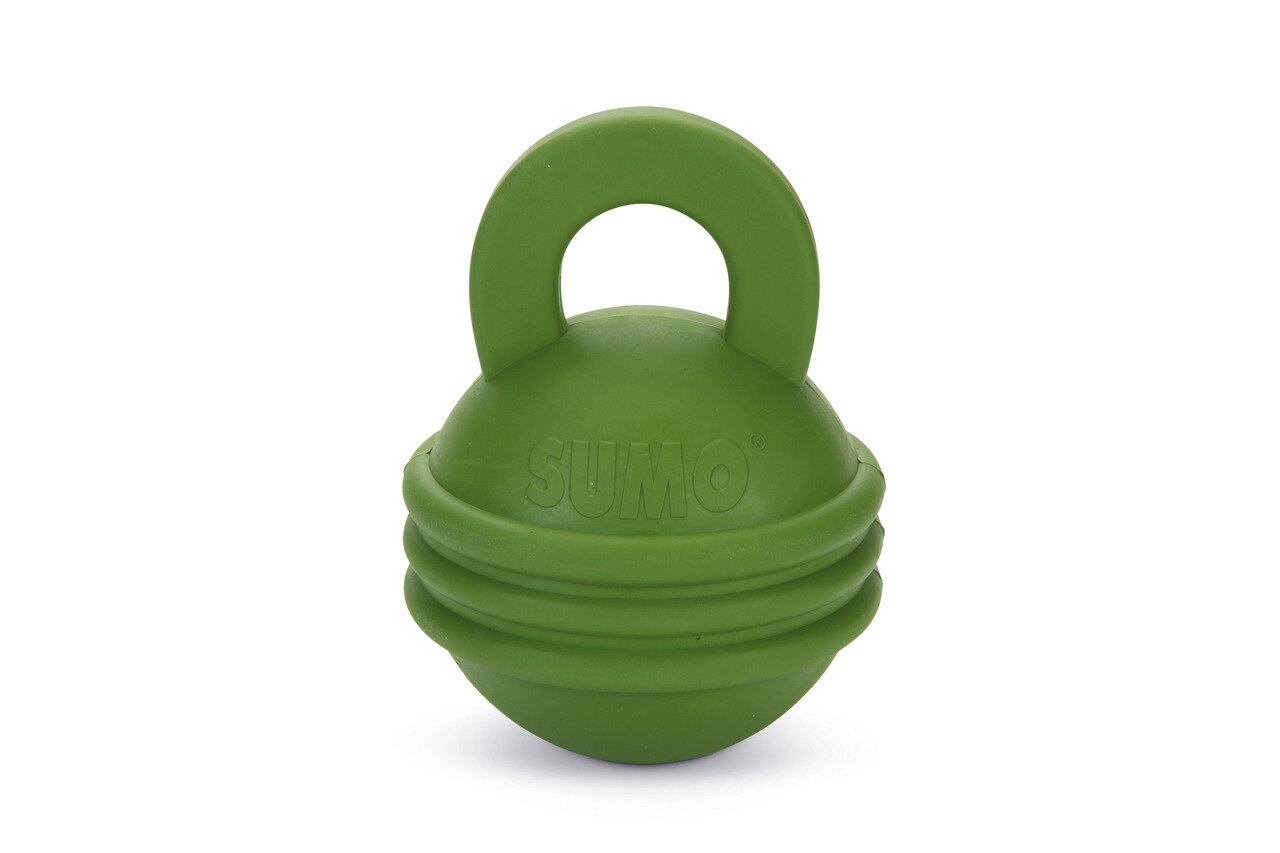 K&BZ BZ SUMO PLAY KETTLEBELL VERDE, 16CM