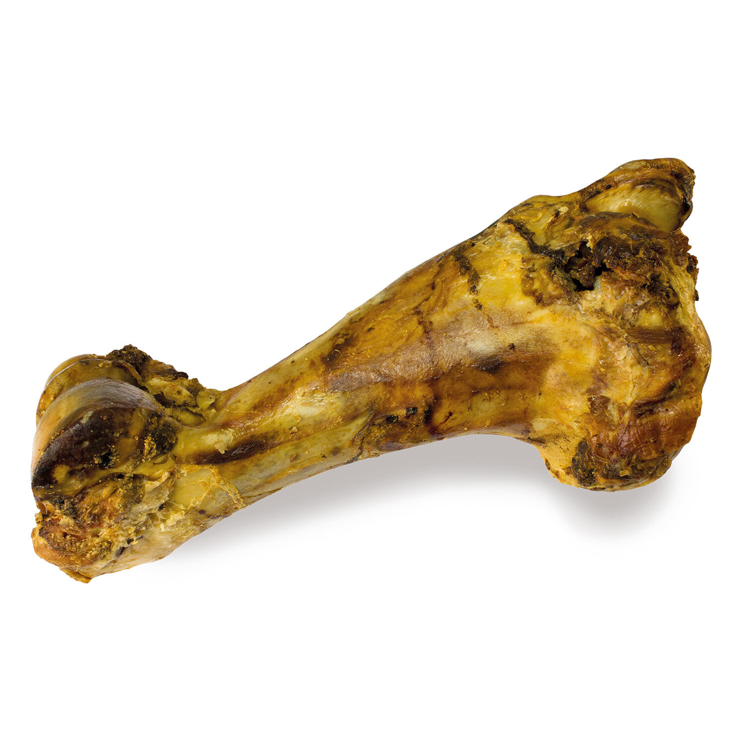 Hueso de Ternera extra-grande