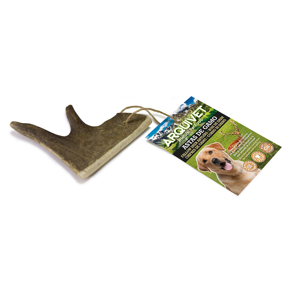 Asta de gamo - S (<50 g)