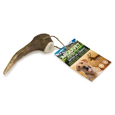 Asta de ciervo - M (40-75 g)